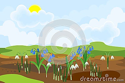 Blooming snowdrop and Siberian squill or Scilla siberica plants with flowers and green leaves growing from the ground Vector Illustration